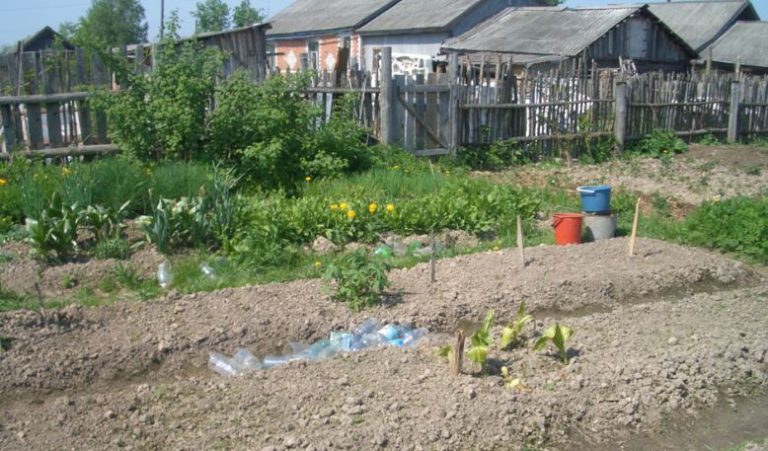 Олена завжди говорила, що їй не потрібне село, і що її місце у місті. Але доля мала інші плани на її життя.