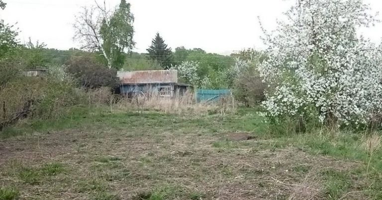 Коли мій чоловік повернувся з далекої дороги, дочка вигнала батька з двору, навіть не пустивши його на поріг. І все це через одну причину.