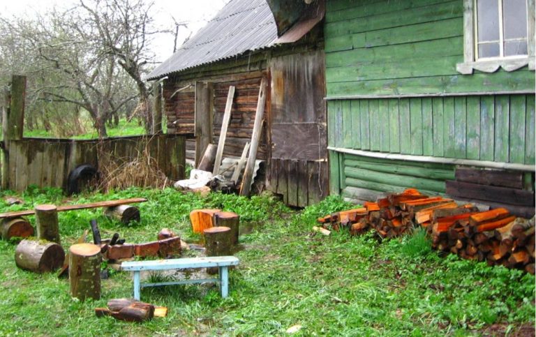 Сусідка Ліда приготувала багато різних смаколиків, вимила весь будинок і двір, все упорядкувала, бо діти обіцяли відвідати її того дня. Але на годиннику було вже десять, а гостей так і не було. Раптом пролунав стукіт дверей.